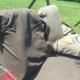 Illustration for article titled My New Off-Road Project Is This Rust-Tacular 1948 Jeep; Pray For Me